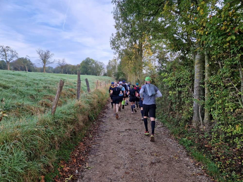 Beartrail_05