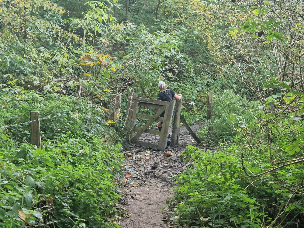 Beartrail_19