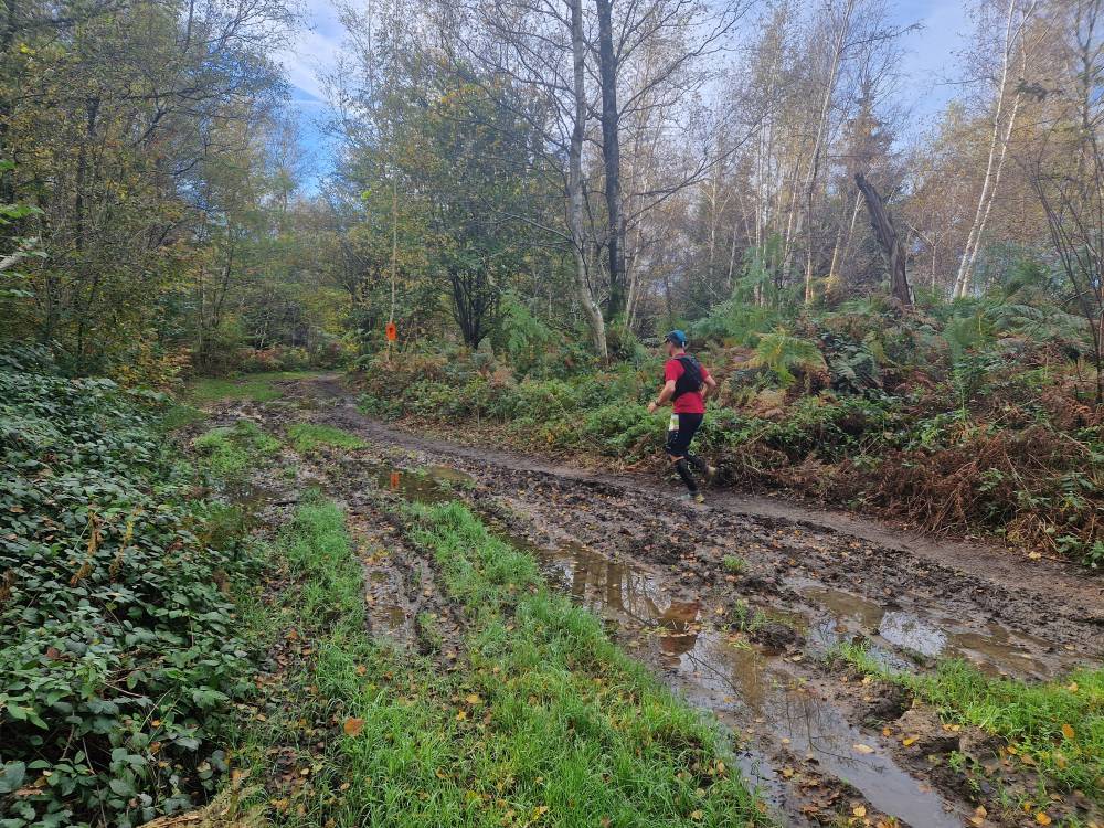 Beartrail_48
