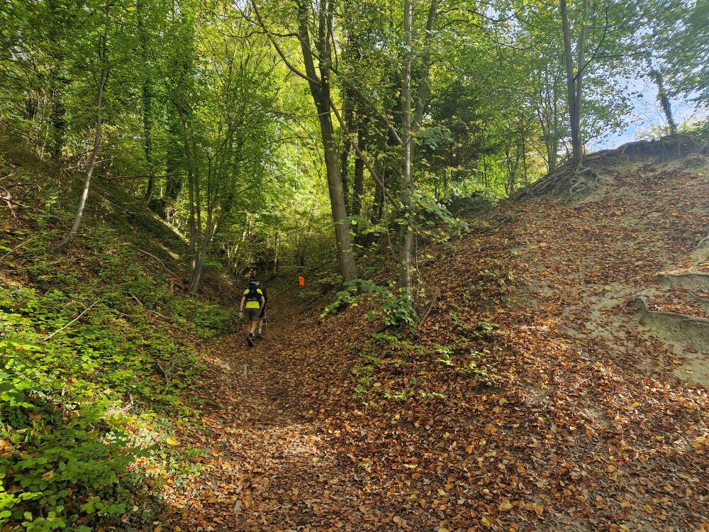 Beartrail_51