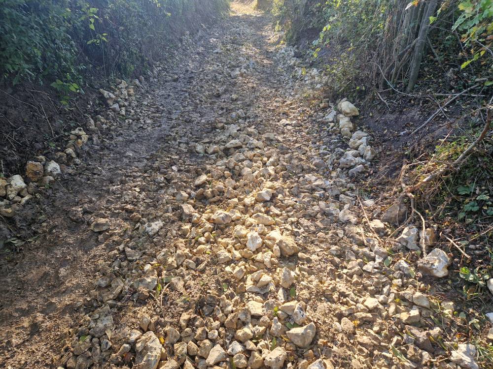 Beartrail_63