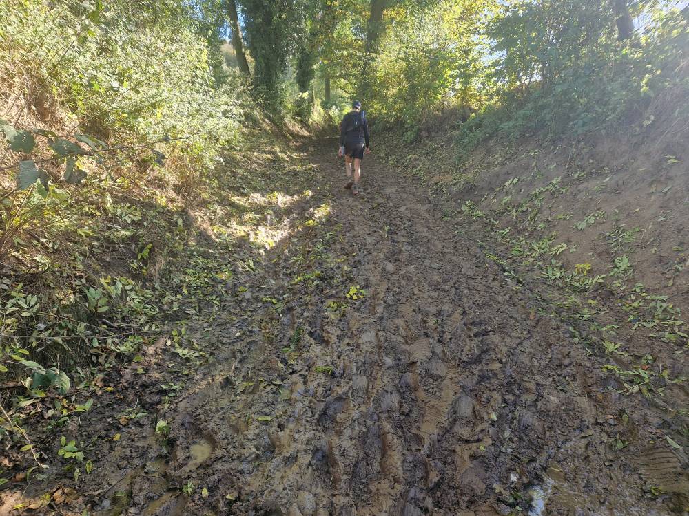 Beartrail_64