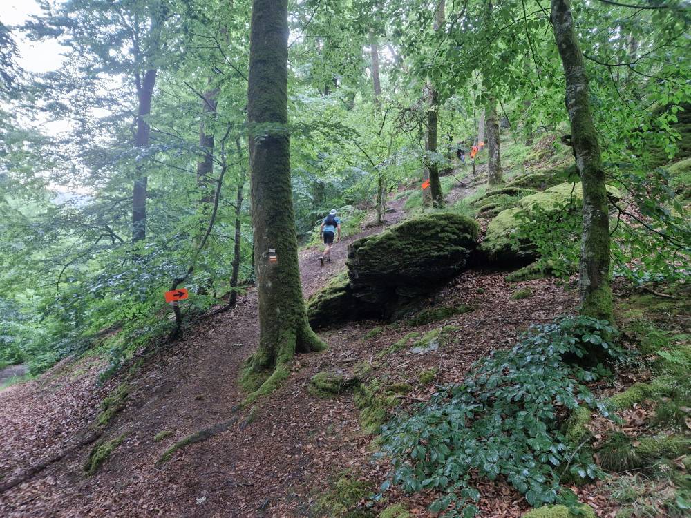 Bouillon_42