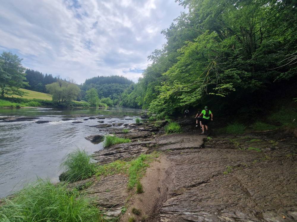Bouillon_54