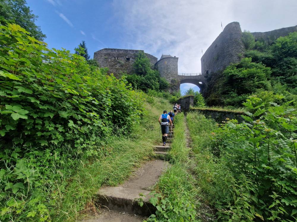 Bouillon_60