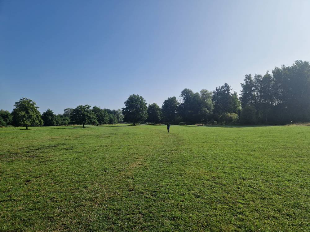 Brabantse_10