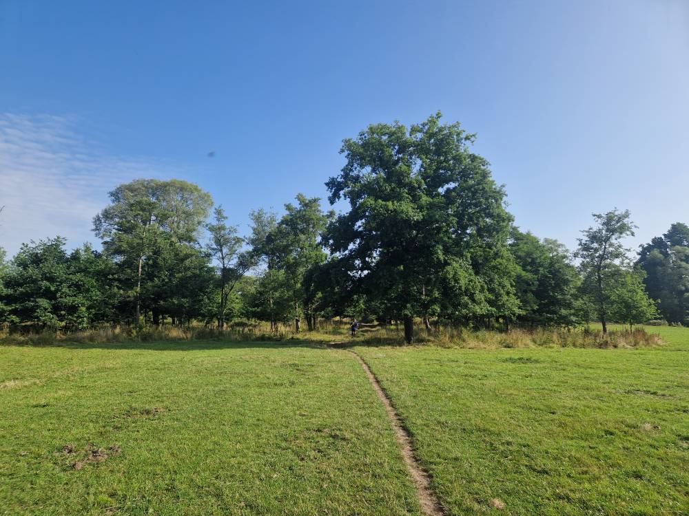 Brabantse_11
