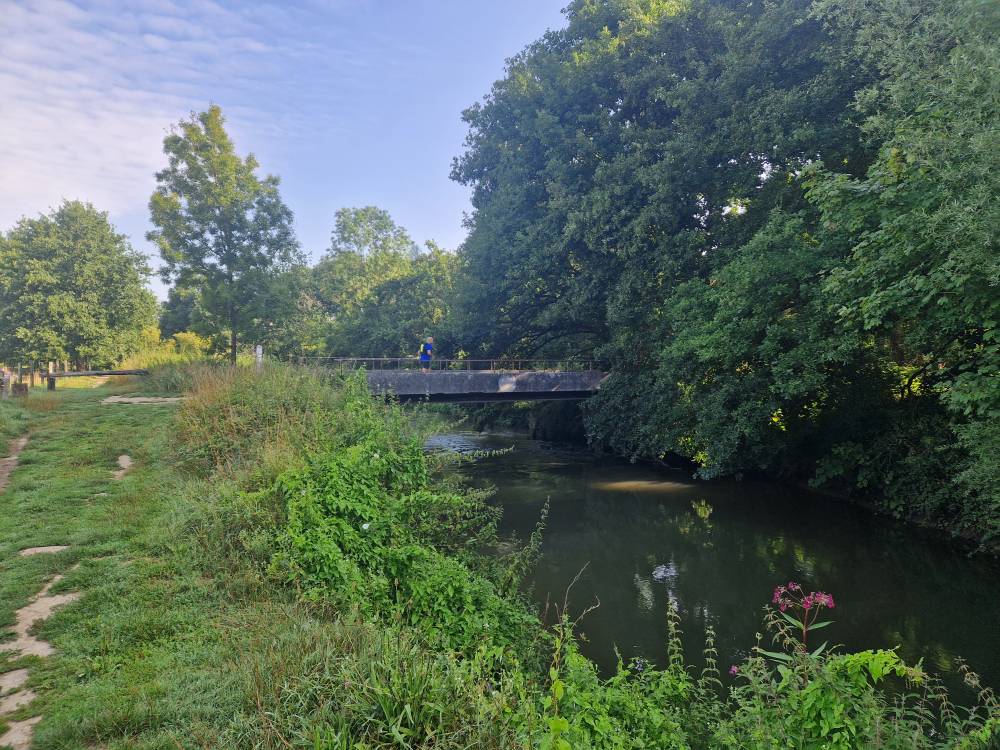 Brabantse_12