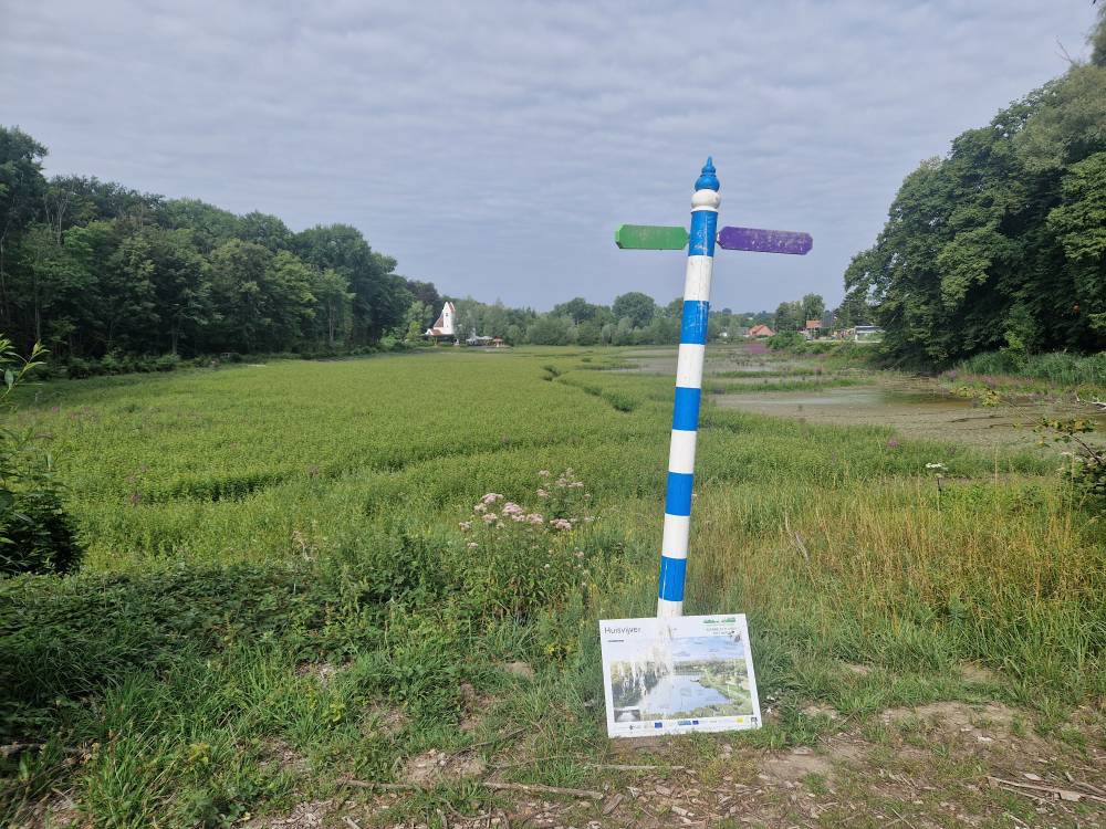 Brabantse_15