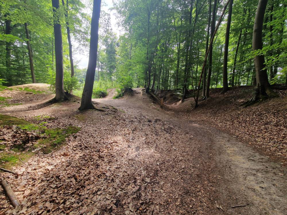 Brabantse_30