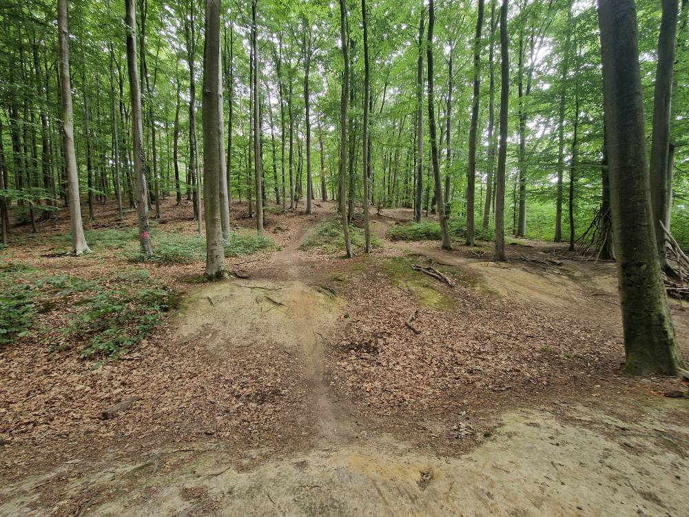 Brabantse_32