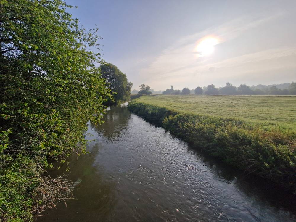Brabantse_34