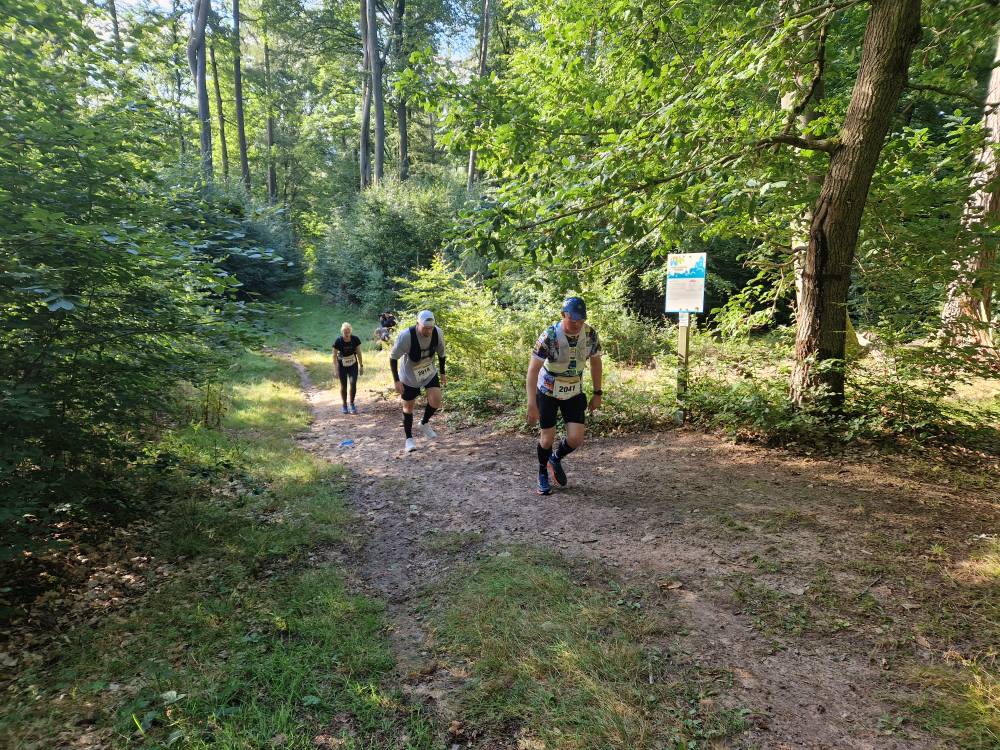 Burgwald_08