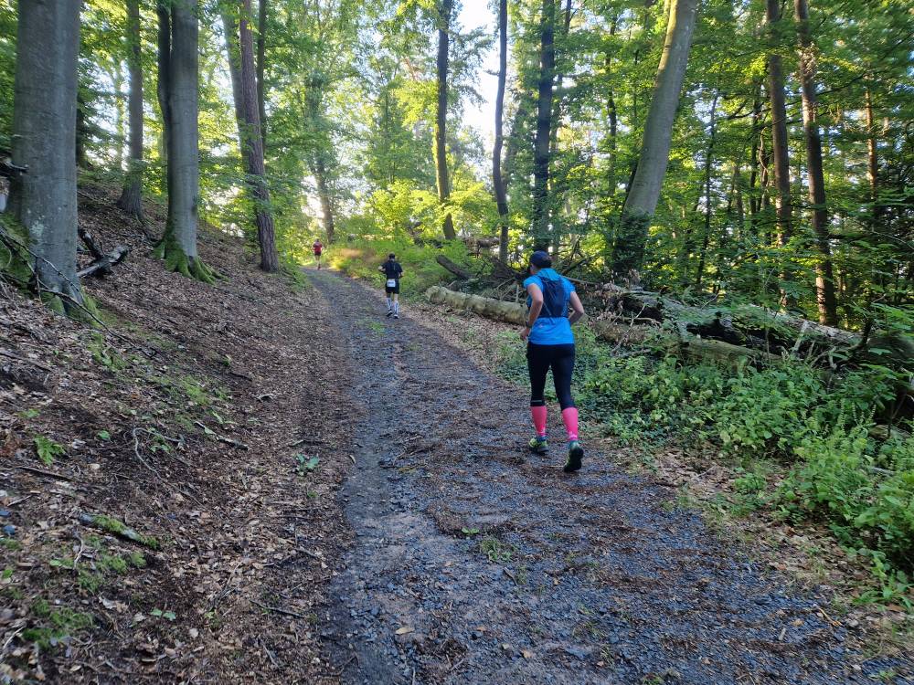 Burgwald_09