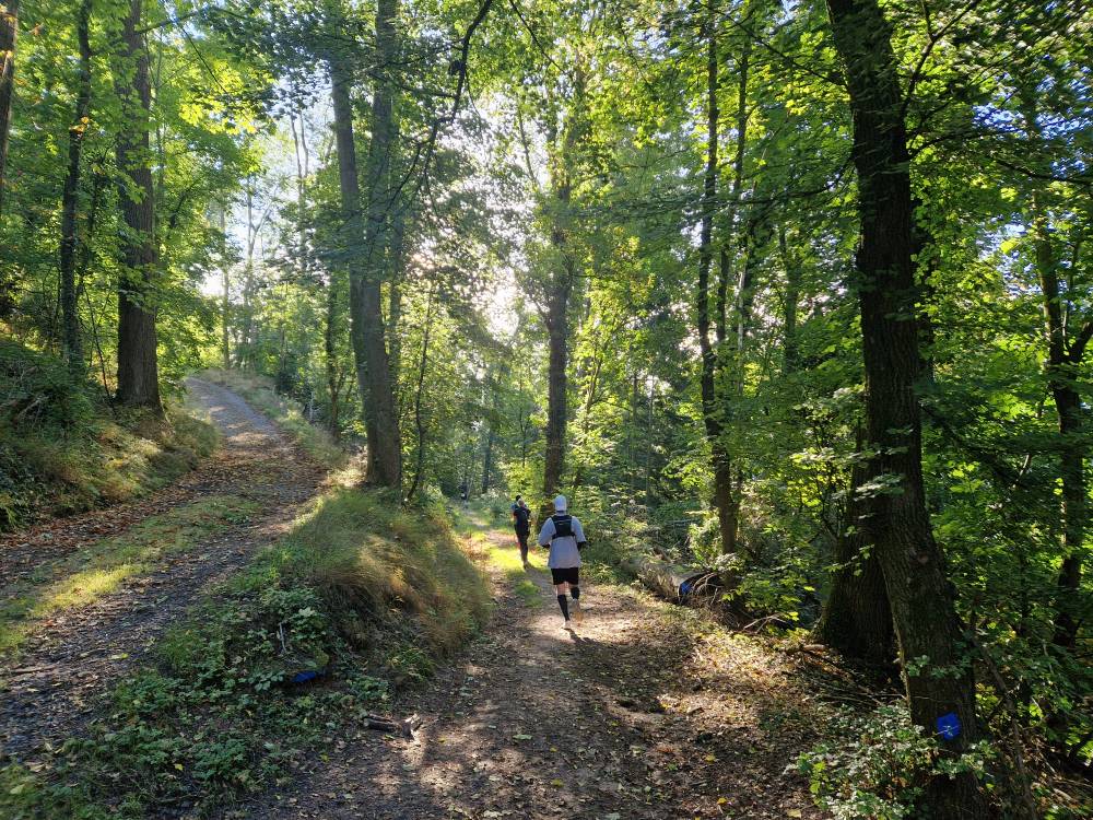 Burgwald_10