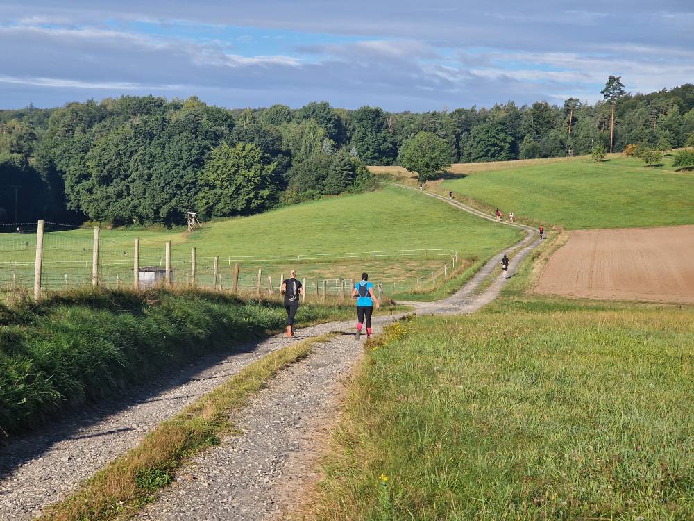 Burgwald_11