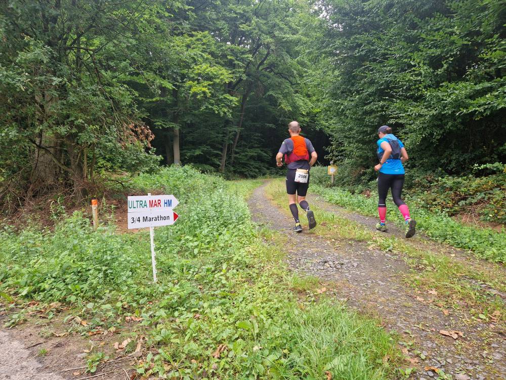 Burgwald_14