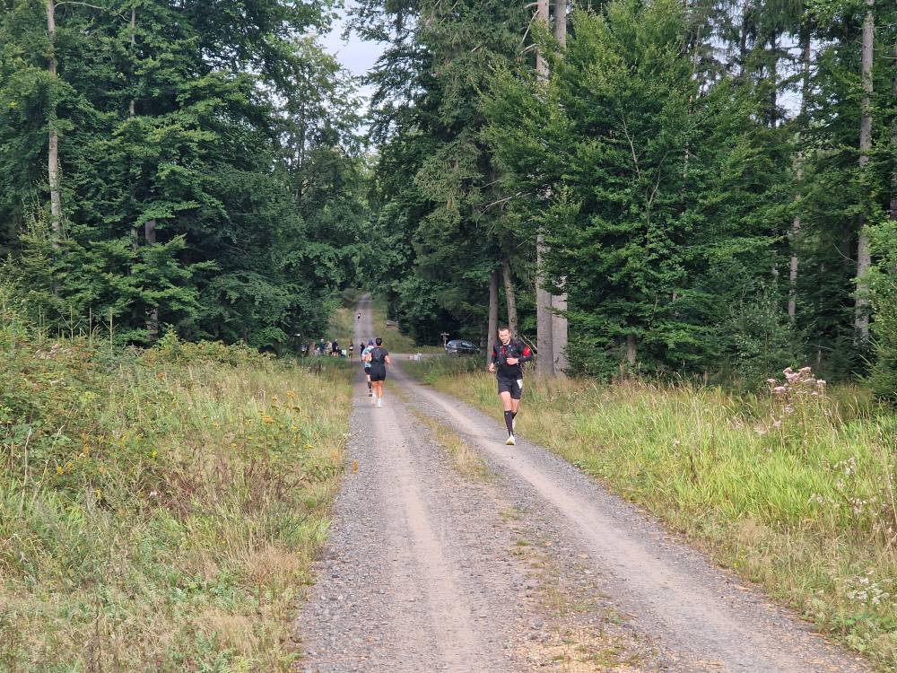 Burgwald_17