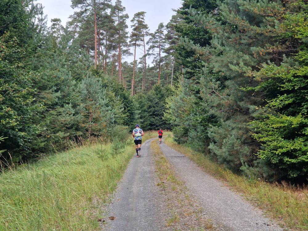Burgwald_19