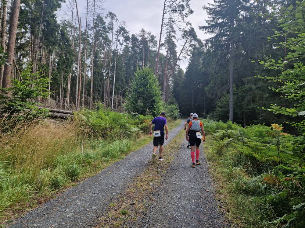 Burgwald_20