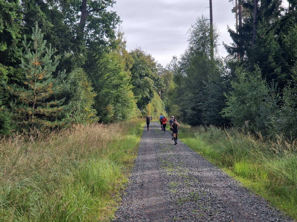 Burgwald_21