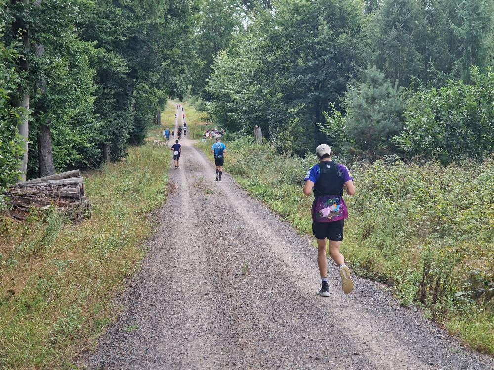 Burgwald_22