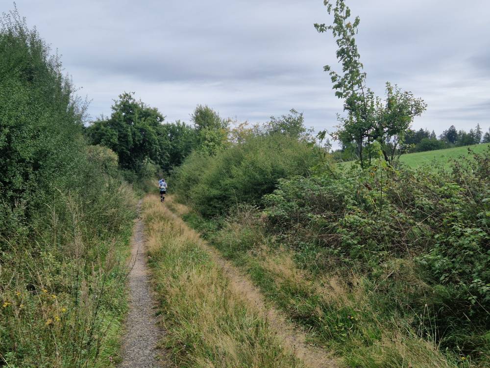 Burgwald_23