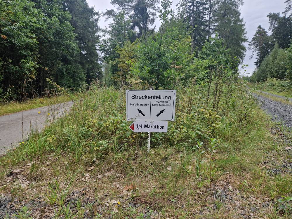 Burgwald_25