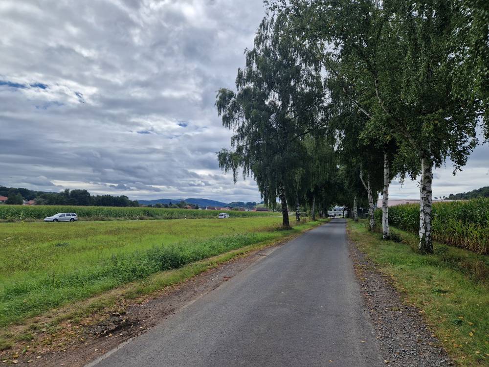 Burgwald_28