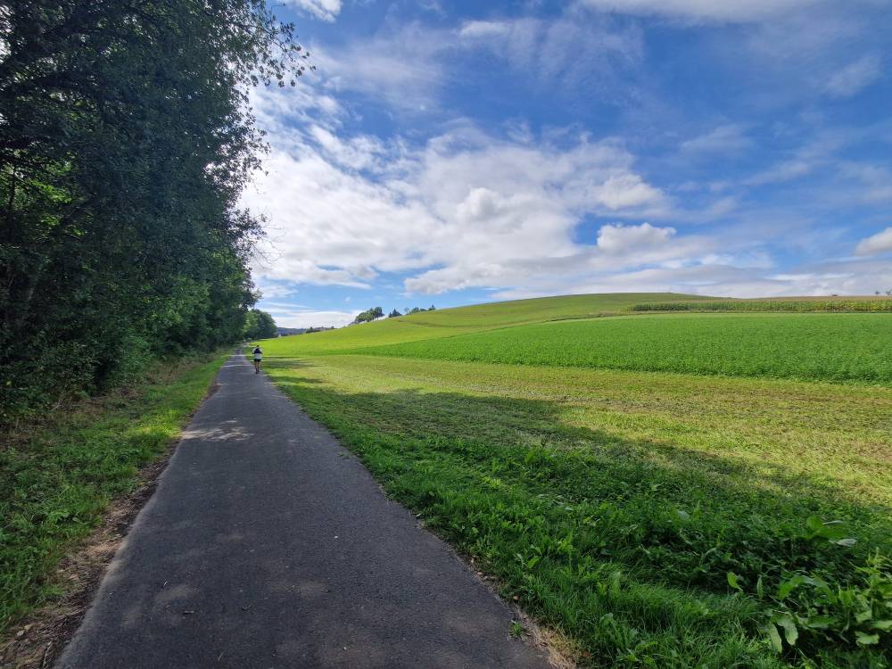 Burgwald_36