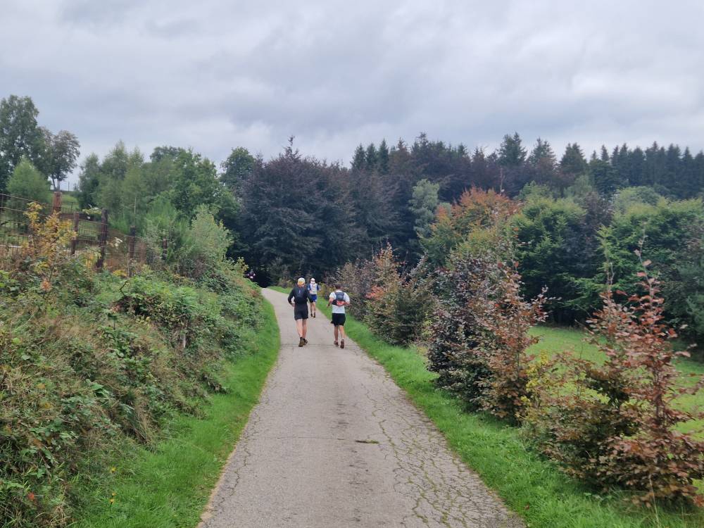 Hautesfagnes_29