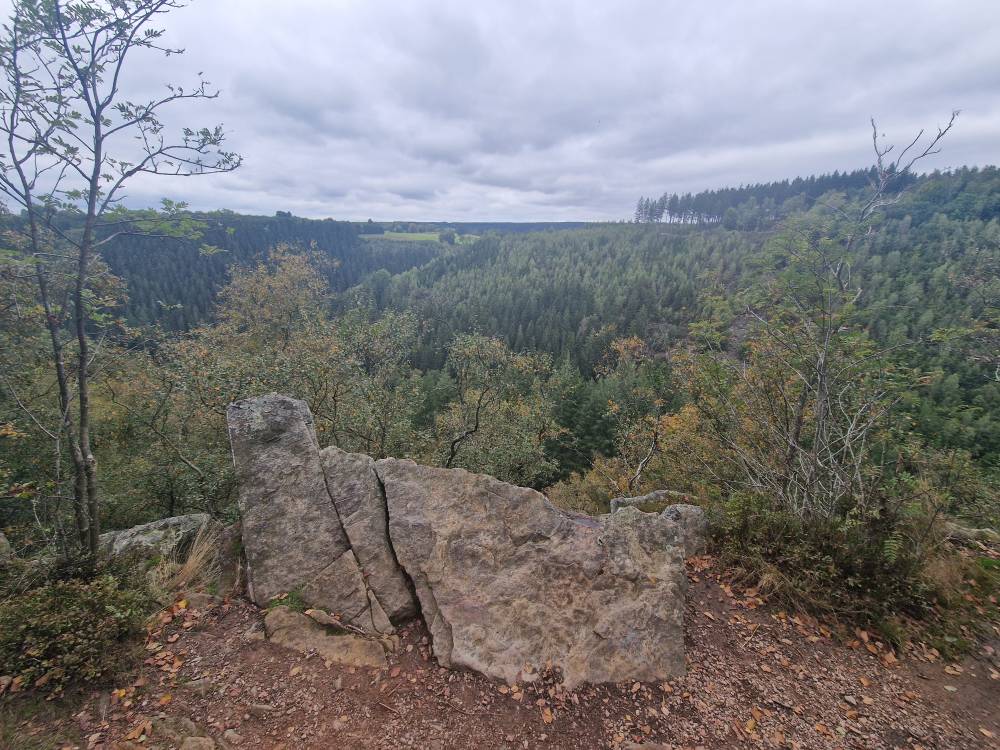 Hautesfagnes_53