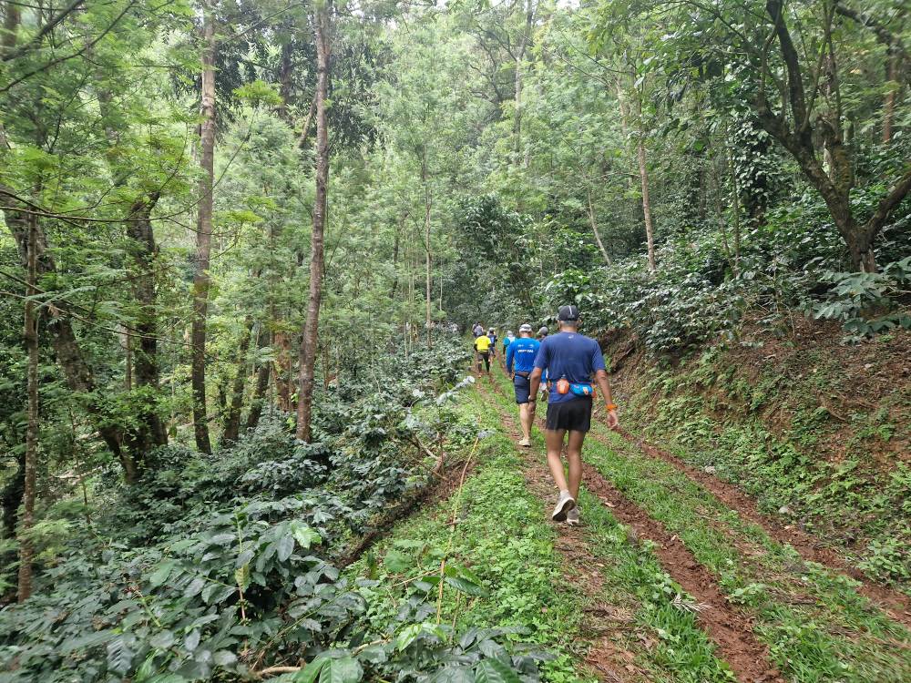 Malnad_06