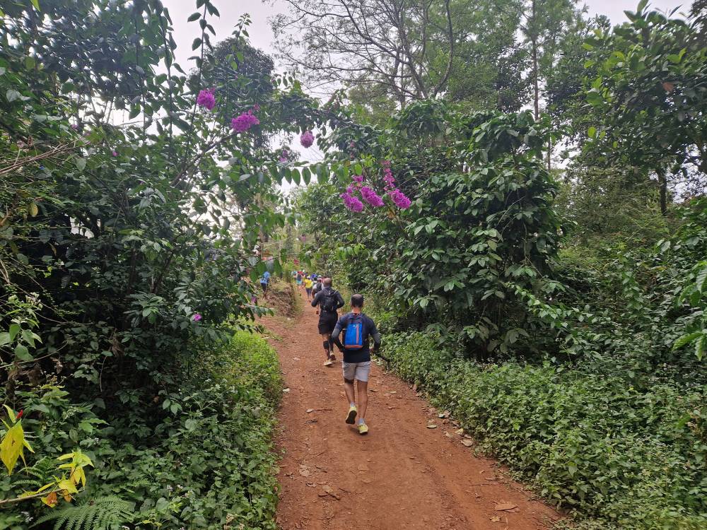Malnad_09