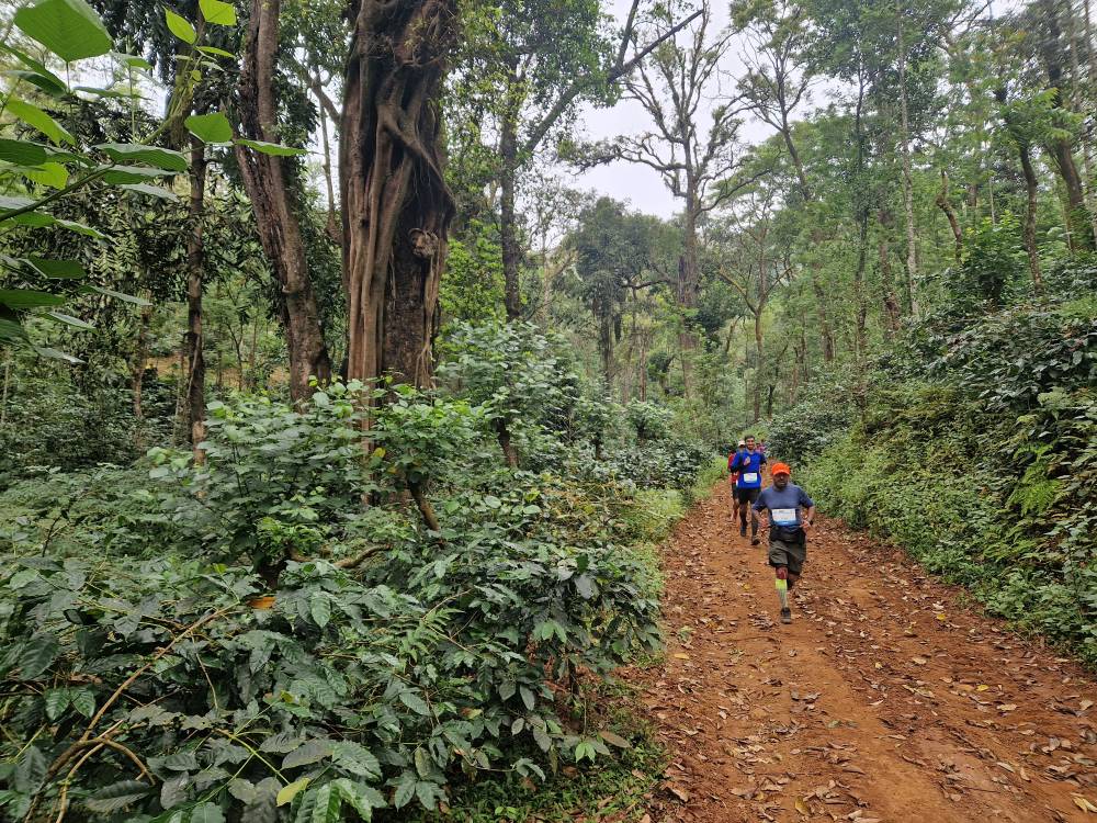 Malnad_13
