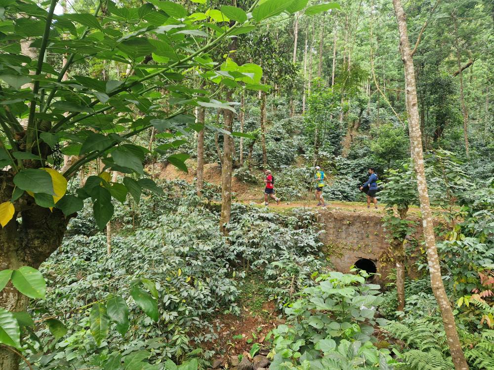 Malnad_14