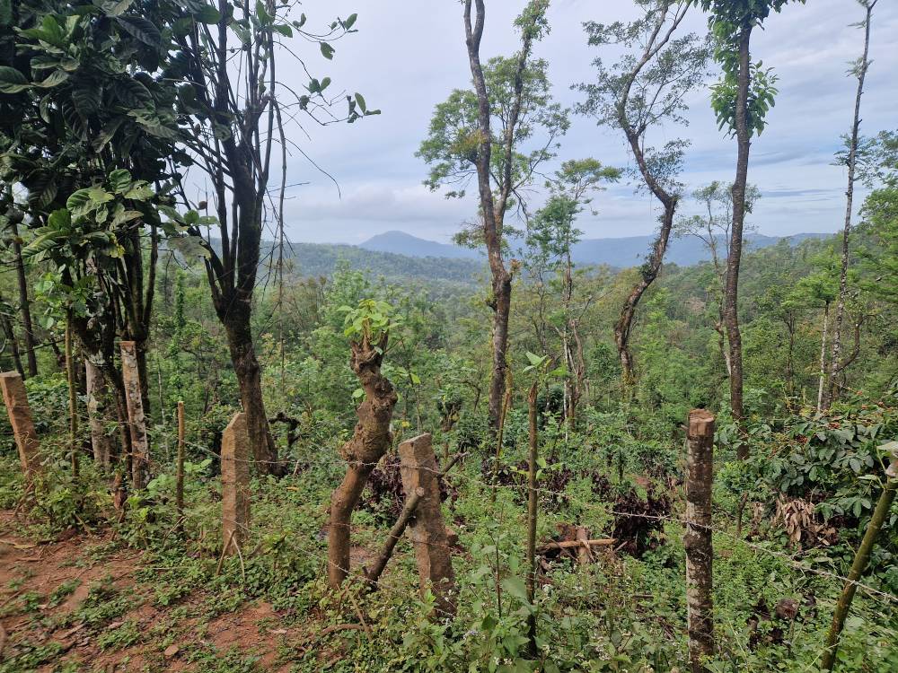 Malnad_16