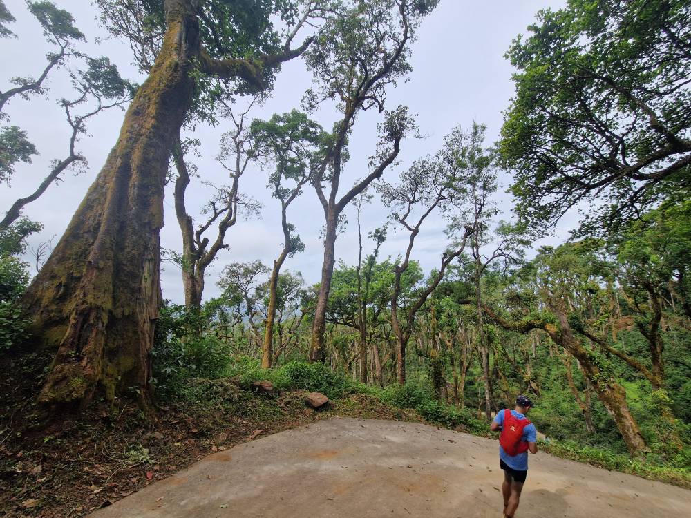 Malnad_22