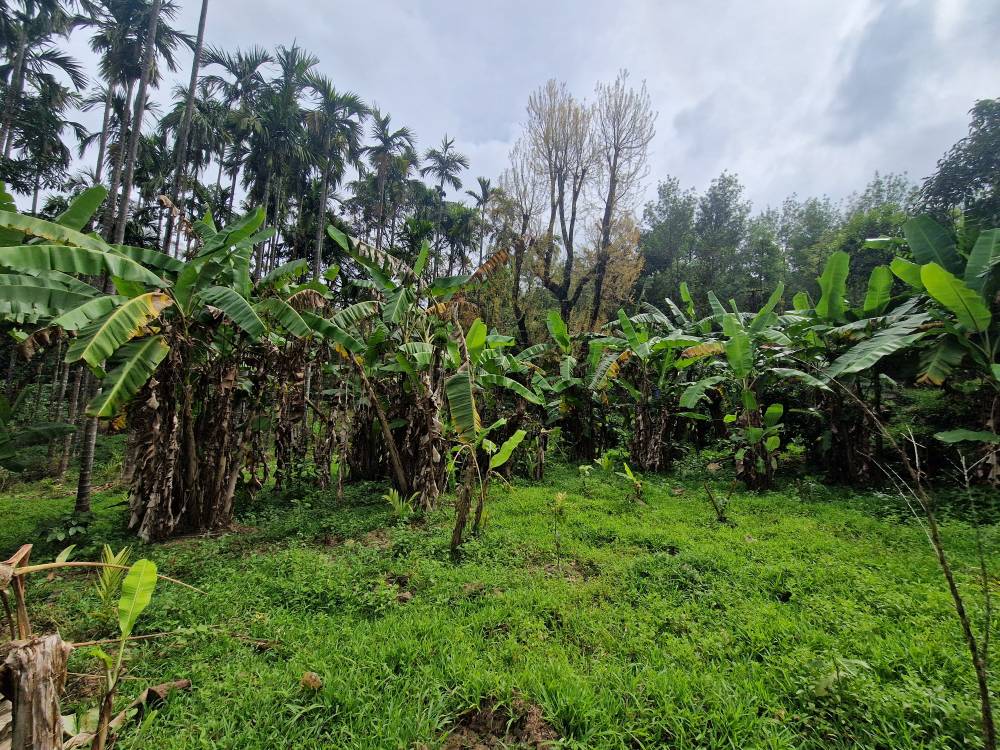 Malnad_26