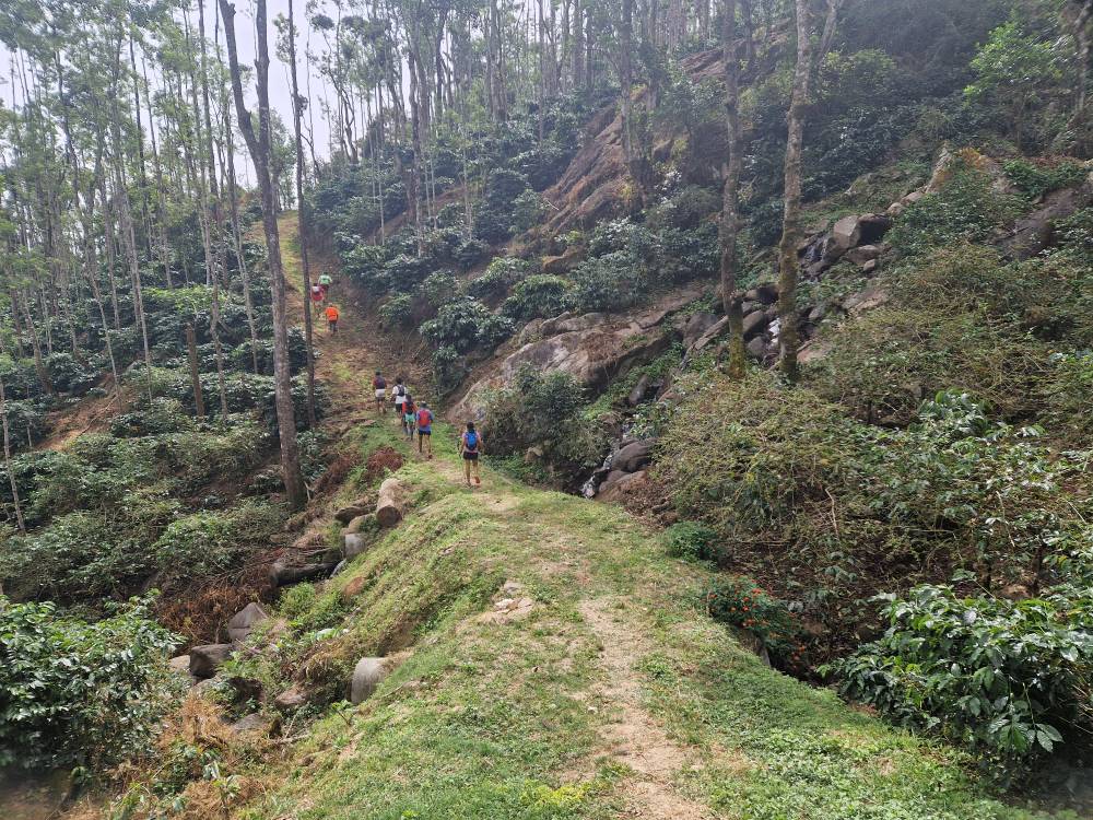 Malnad_30