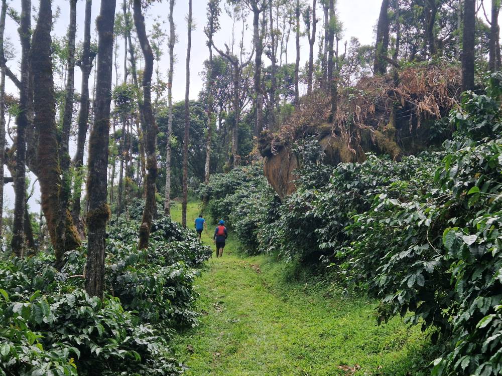 Malnad_33