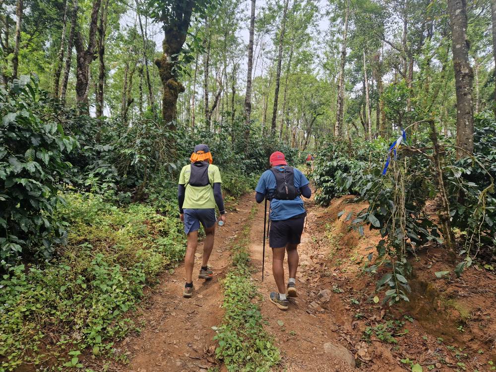 Malnad_37