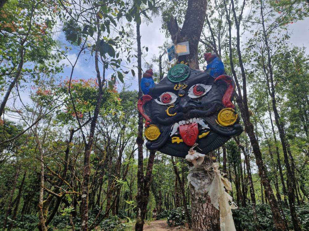 Malnad_38