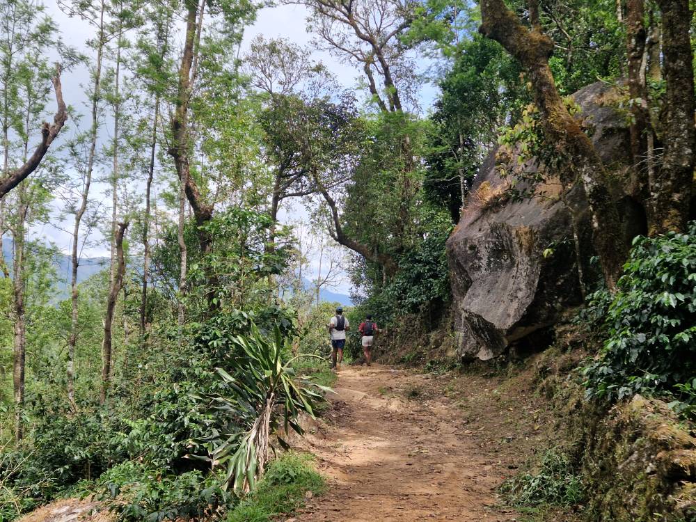 Malnad_39