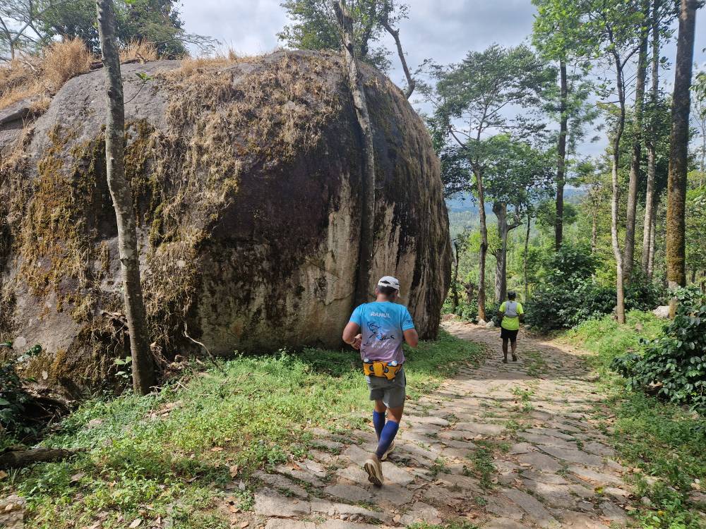 Malnad_41