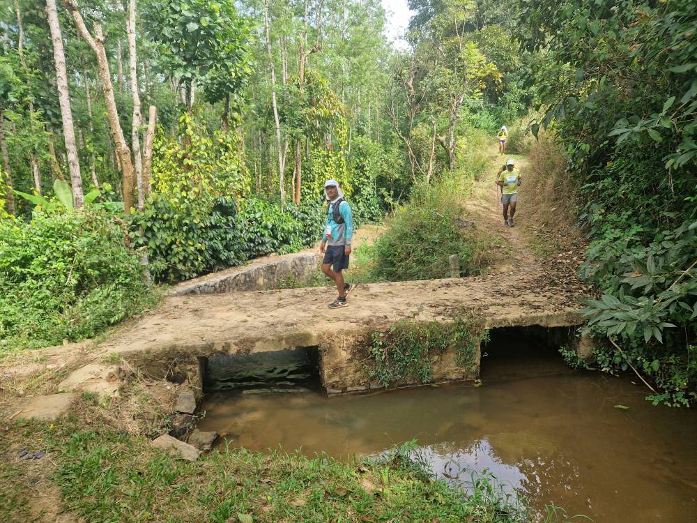 Malnad_42