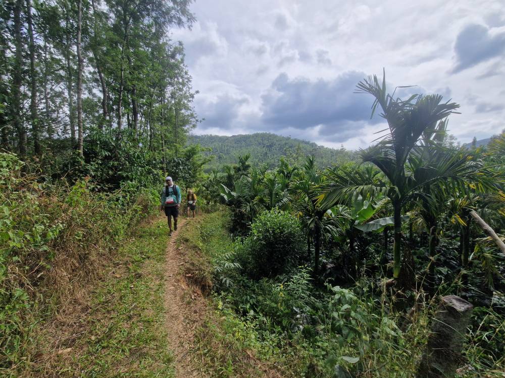 Malnad_43