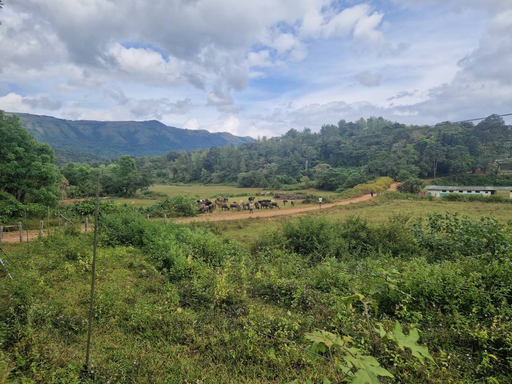 Malnad_46