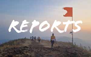 Reports
