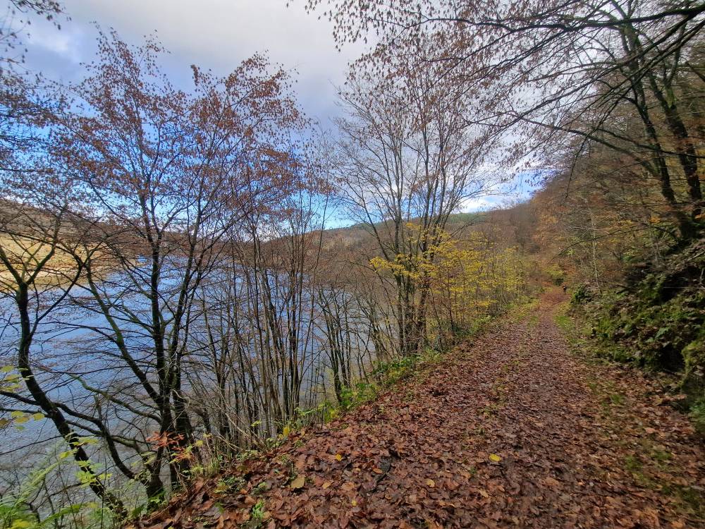Uewersauer_31